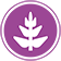 Lupine
